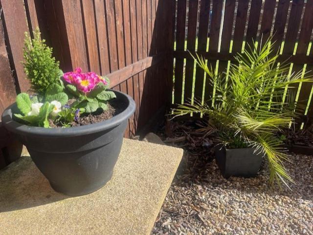 Ground Floor Apartment With Garden Glasgow Exterior foto